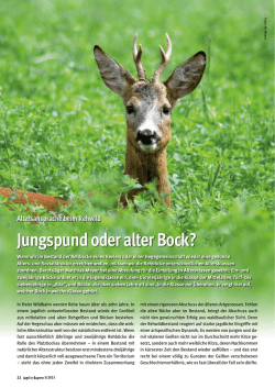 Jungspund oder alter Bock?