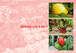 Salate und Gemüse von A-Z