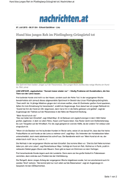 Hund biss junges Reh tot (O&ouml; Nachrichten, 7.7.2015)