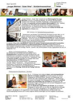 Informationsblatt - Junges Wohnen