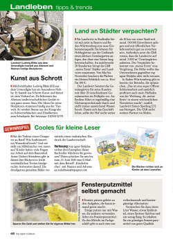 Diesen Beitrag als PDF herunterladen