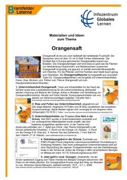 Orangensaft - Bramfelder Laterne