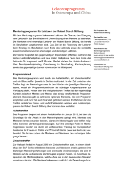 Infoblatt Mentoringprogramm