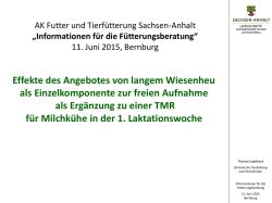 Effekte des Angebotes von langem Wiesenheu als