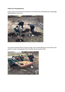 Einbau der Baumplattform Lukas, Justin und Leonard (9e