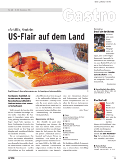 Luzerner Zeitung Apero - Restaurant Schäfli Neuheim