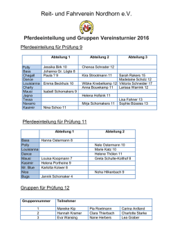 Pferdeeinteilung und Gruppen Vereinsturnier 2016 - Reit