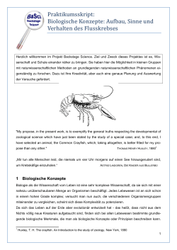 Biologische Konzepte: Aufbau, Sinne und Verhalten des Flusskrebses