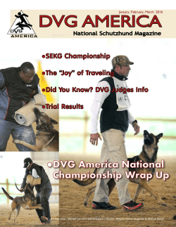 DVG America Magazine Q1 2016