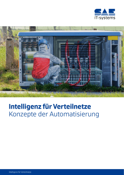 Intelligenz f&uuml;r Verteilnetze - SAE IT