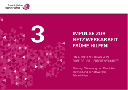 Impulse Netzwerk Schubert - Nationales Zentrum Fr&uuml;he Hilfen