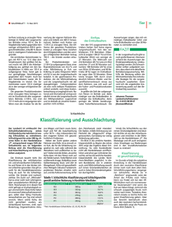 Klassifizierung und Ausschlachtung