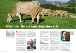 Swiss-Index: Für die neue Schweizer Kuh