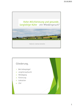 Hohe Milchleistung und gesunde, langlebige K&uuml;he &ndash; ein