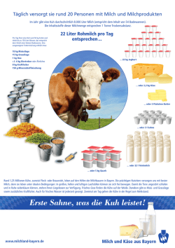 Was leistet die Kuh