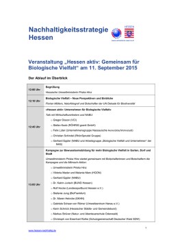 Herunterladen - Nachhaltigkeitsstrategie Hessen