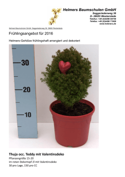 PDF Helmers-Frühlingsartikel