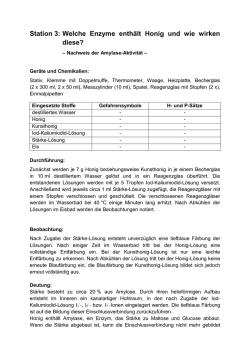 Station 3: Welche Enzyme enth&auml;lt Honig und wie wirken diese?