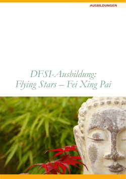 Flying Stars - Deutsches Feng Shui Institut