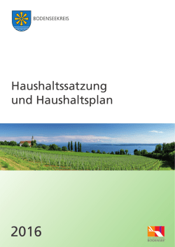 Haushaltssatzung und Haushaltsplan
