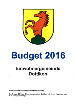 Budget - SVP Dottikon