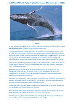 Die prachtvollen Energien der Buckelwale auf Hawaii