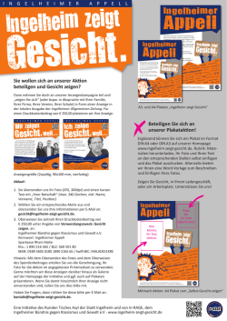 Infoblatt Anzeigenschaltung und Plakataktion - In-Rage