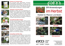 imHerbst - EM