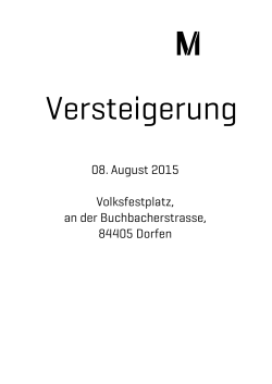 08. August 2015 Volksfestplatz, an der