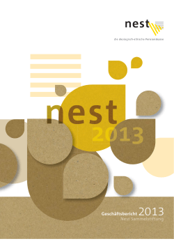 Geschäftsbericht 2013 Nest Sammelstiftung