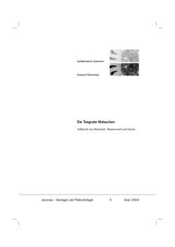 Die Tongrube Mataschen