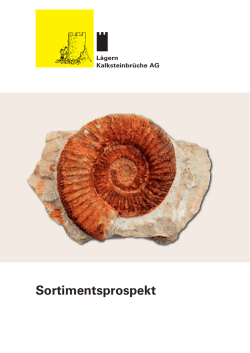 Sortimentsprospekt - L&auml;gern Kalksteinbr&uuml;che AG