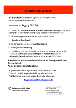 Ich$m&ouml;chte$mich$vorstellen$$ als$Berufsberaterin$der/Agentur/f&uuml;r
