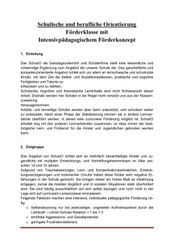 Intensivp&auml;dagogisches Konzept SchubO