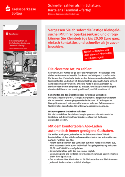 Informationen zu girogo