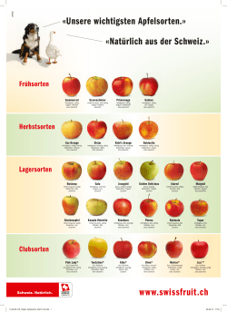 Unsere wichtigsten Apfelsorten