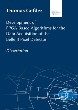 Development of FPGA-based algorithms for the data acquisition of