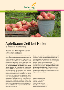 Apfel baum- Zeit - Baumschule Haller AG