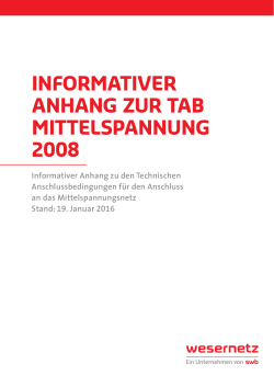 informativer anhang zur tab mittelspannung 2008