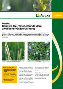 Avoxa: Saubere Getreidebestände dank zweifacher Gräserwirkung