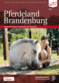 Grenzenlos reiten, Pferdezucht und Reitsport www.pferdeland