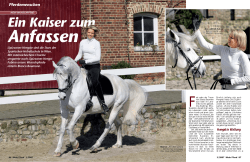 086_089_MP_0307_Wunschpferd (Page 86 - 87) - Lipizzaner