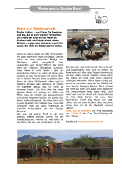 Bericht: Wert der Rinderarbeit