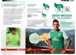 grün-weisses - Werder Bremen
