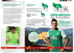 gr&uuml;n-weisses - Werder Bremen