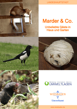 Marder & Co.