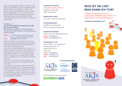 Info-Flyer - AKJS-SH