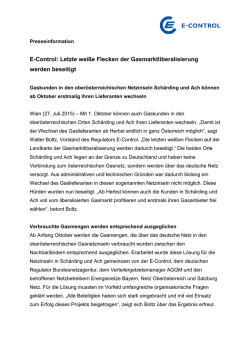 E-Control: Letzte wei&szlig;e Flecken der Gasmarktliberalisierung werden