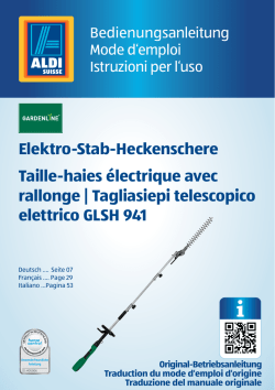 Elektro-Stab-Heckenschere Taille-haies électrique avec rallonge