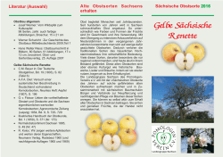 Gelbe Sächsische Renette - Pomologen